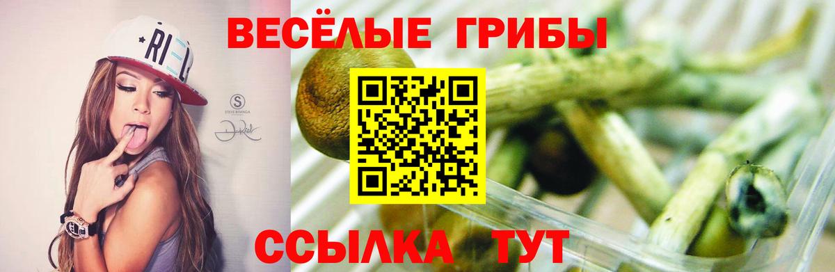 Галлюциногенные грибы MAGIC MUSHROOMS Осинники