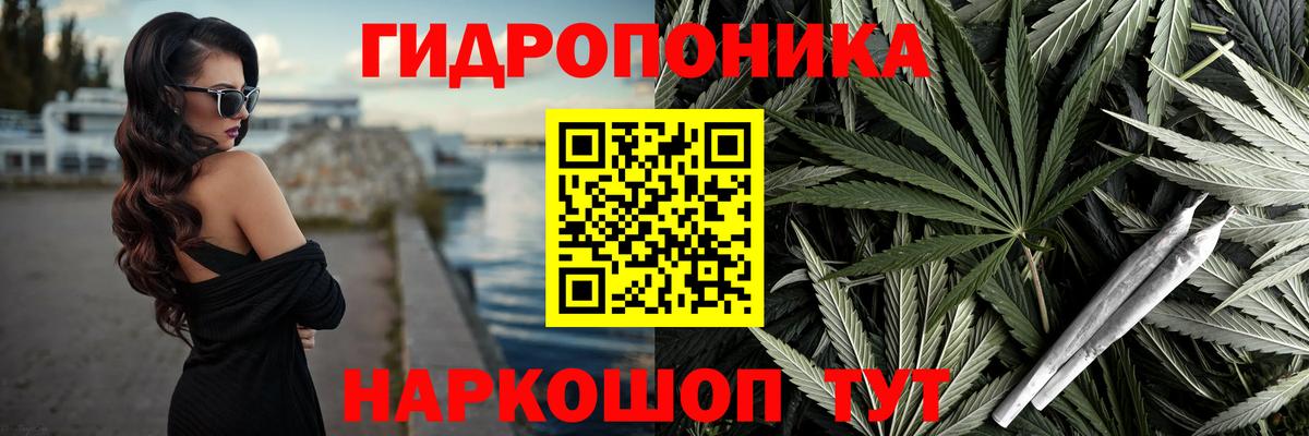 Шишки марихуана план  Бошки Шишки Bruce Banner  Вход с VPN  Осинники  Бошки марихуана ГИДРОПОН 